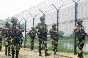 അതിർത്തിയിൽ നുഴഞ്ഞുകയറ്റം തടയാൻ പാമ്പുകളും മുതലകളും: പുതിയ നീക്കവുമായി ബിഎസ്എഫ്