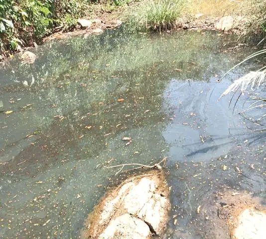 ഇരുതുള്ളിപ്പുഴയിൽ മലിനജലം; പരിശോധനയ്ക്കായി സി.ഡബ്ല്യു.ആർ.ഡി.എമ്മിനെ സമീപിച്ച് കട്ടിപ്പാറ പഞ്ചായത്ത്