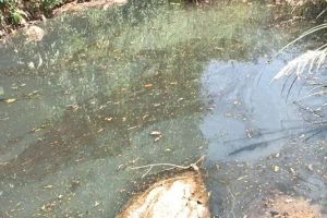 ഇരുതുള്ളിപ്പുഴയിൽ മലിനജലം; പരിശോധനയ്ക്കായി സി.ഡബ്ല്യു.ആർ.ഡി.എമ്മിനെ സമീപിച്ച് കട്ടിപ്പാറ പഞ്ചായത്ത്