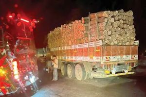 വാഹനങ്ങൾ കുടുങ്ങി; താമരശ്ശേരി ചുരത്തിൽ ഗതാഗതം തടസ്സപ്പെട്ടു