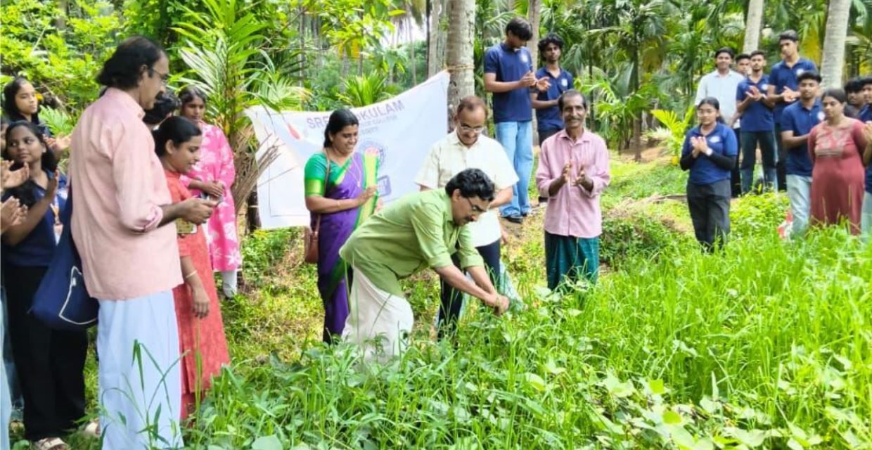 നെൽപ്പാടങ്ങളിൽ പൊന്നുവിളയിച്ച് വിദ്യാർത്ഥികൾ; ബാലുശ്ശേരിയിൽ ചെറുപയർ വിളവെടുപ്പ് നടന്നു
