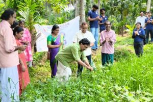 നെൽപ്പാടങ്ങളിൽ പൊന്നുവിളയിച്ച് വിദ്യാർത്ഥികൾ; ബാലുശ്ശേരിയിൽ ചെറുപയർ വിളവെടുപ്പ് നടന്നു