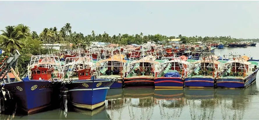 ഡീസലും ഗ്യാസ് സിലിൻഡറും ലഭിക്കുന്നില്ല; മത്സ്യബന്ധന മേഖല പ്രതിസന്ധിയിൽ