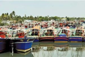 ഡീസലും ഗ്യാസ് സിലിൻഡറും ലഭിക്കുന്നില്ല; മത്സ്യബന്ധന മേഖല പ്രതിസന്ധിയിൽ