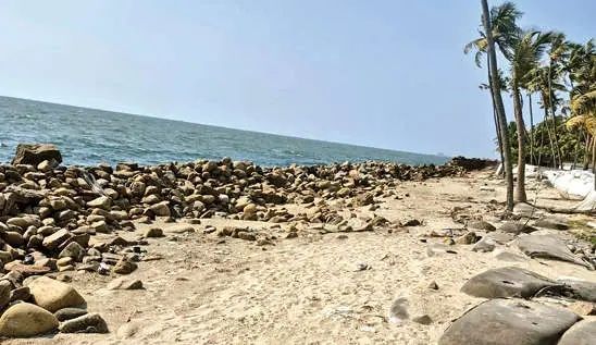 കടലേറ്റം തടയാൻ കണ്ണമാലിയിൽ ജിയോ ബാഗുകൾ സ്ഥാപിക്കണം -ഗ്രാമപ്പഞ്ചായത്ത്