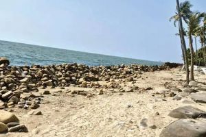 കടലേറ്റം തടയാൻ കണ്ണമാലിയിൽ ജിയോ ബാഗുകൾ സ്ഥാപിക്കണം -ഗ്രാമപ്പഞ്ചായത്ത്