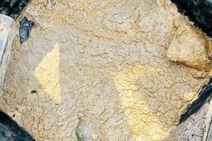 കോഴിക്കോട് ബീച്ച് ഫുഡ്സ്ട്രീറ്റിൽ ശുചിത്വ പരിശോധന കർശനമാക്കി; വിട്ടുവീഴ്ചയില്ലെന്ന് അധികൃതർ