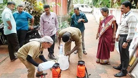 ഒളവണ്ണയിൽ ഡെങ്കിപ്പനി പടരുന്നു: ഇരിങ്ങല്ലൂരിൽ മാത്രം 44 കേസുകൾ; പ്രതിരോധ പ്രവർത്തനങ്ങൾ ഊർജിതം
