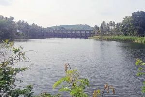 മടമ്പം റെഗുലേറ്ററിൽ ജലം സുലഭം, ജനങ്ങൾക്കോ ദാഹജലം കിട്ടാക്കനി: പന്ത്രണ്ട് വർഷമായിട്ടും നടപ്പിലാകാതെ ശുദ്ധജല പദ്ധതി