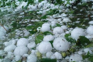 വയനാട്ടിൽ കനത്ത വേനൽമഴയും ആലിപ്പഴവീഴ്ചയും; കർഷകർ ആശങ്കയിൽ