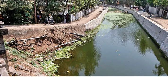 വെള്ളരിത്തോട് നവീകരണം: പാർശ്വഭിത്തി നിർമാണം പാതിവഴിയിൽ; ആശങ്കയൊഴിയാതെ നാട്ടുകാർ