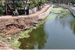 വെള്ളരിത്തോട് നവീകരണം: പാർശ്വഭിത്തി നിർമാണം പാതിവഴിയിൽ; ആശങ്കയൊഴിയാതെ നാട്ടുകാർ