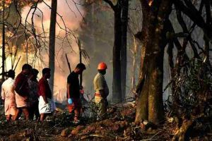 തൃശൂർ വെടിക്കെട്ടപകടം: ചൂട് മൂലം പൊട്ടിത്തെറിക്കാൻ സാധ്യതയില്ലെന്ന് പെസോ; പടക്കനിർമ്മാണശാലയ്ക്ക് സ്റ്റോപ്പ് മെമ്മോ