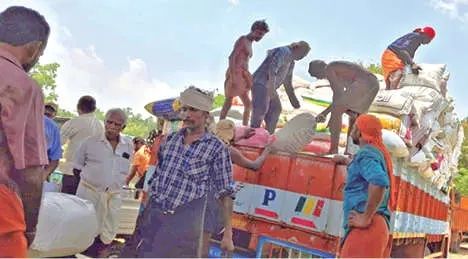 വിളവ് പൊലിച്ചു : പിരപ്പമൺകാട് സപ്ലൈകോയ്ക്ക് കൈമാറിയത് 11.2 ടൺ നെല്ല്