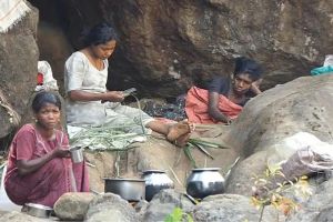 കാടുകൾ ചുട്ടുപഴുക്കുന്നു; ആദിവാസികൾ താമസം പുഴയോരത്തേക്കു മാറ്റി