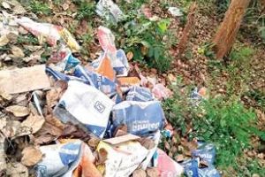 പേരാമ്പ്രയിൽ കനാൽ പരിസരത്ത് മാലിന്യം തള്ളി: നടപടിയെടുക്കാതെ അധികൃതർ