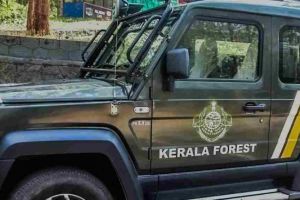 വേനൽ കടുക്കുന്നു; മാളം വിട്ടിറങ്ങി പാമ്പുകൾ, ജാഗ്രതാ നിർദ്ദേശവുമായി വനംവകുപ്പ്