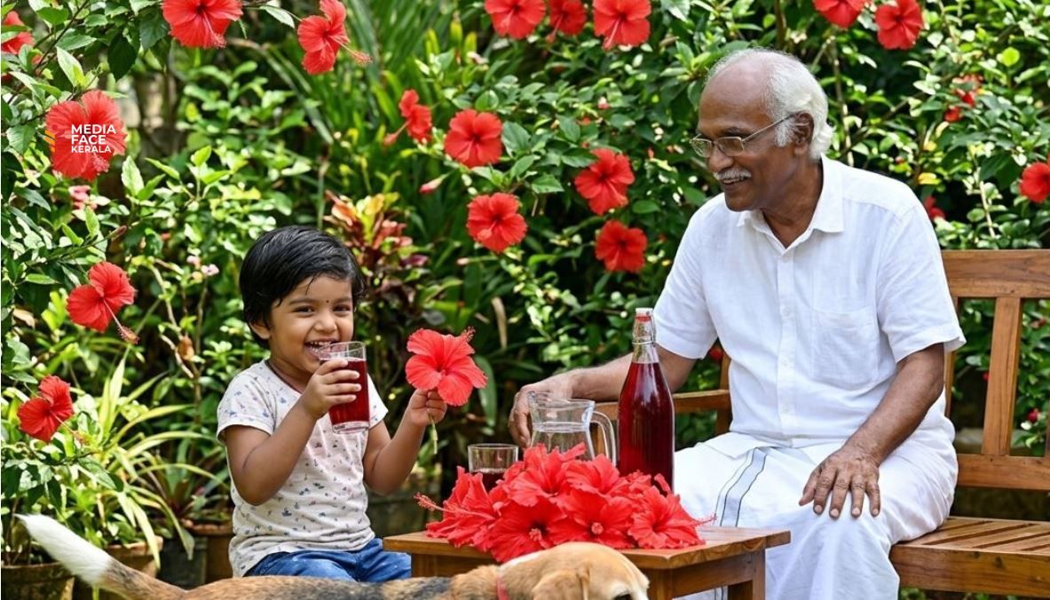 വേനൽച്ചൂടിനെ ചെറുക്കാൻ പ്രകൃതിദത്ത 'ചെമ്പരത്തി പാനീയം'; ഇതാ ഒരു സിമ്പിൾ റെസിപ്പി  :പുഷ്പ കാനാട്, ബാംഗ്ലൂർ   (സമുദ്ര ആയുർവേദ ഗവേഷണ കേന്ദ്രം, വടകര).