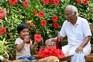 വേനൽച്ചൂടിനെ ചെറുക്കാൻ പ്രകൃതിദത്ത 'ചെമ്പരത്തി പാനീയം'; ഇതാ ഒരു സിമ്പിൾ റെസിപ്പി  :പുഷ്പ കാനാട്, ബാംഗ്ലൂർ   (സമുദ്ര ആയുർവേദ ഗവേഷണ കേന്ദ്രം, വടകര).