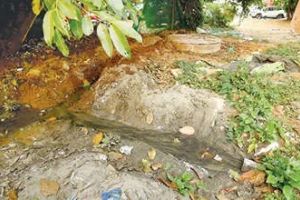 കോഴിക്കോട് ബീച്ചിൽ ഡി.ടി.പി.സി. ശൗചാലയത്തിൽ നിന്ന് മലിനജലം പുറത്തേക്ക്: അധികൃതർ അവഗണിക്കുന്നതായി പരാതി