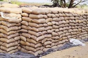 നെല്ലുസംഭരിക്കാൻ ഇടമില്ലാത്ത 'സംഭരണ കേന്ദ്രം'