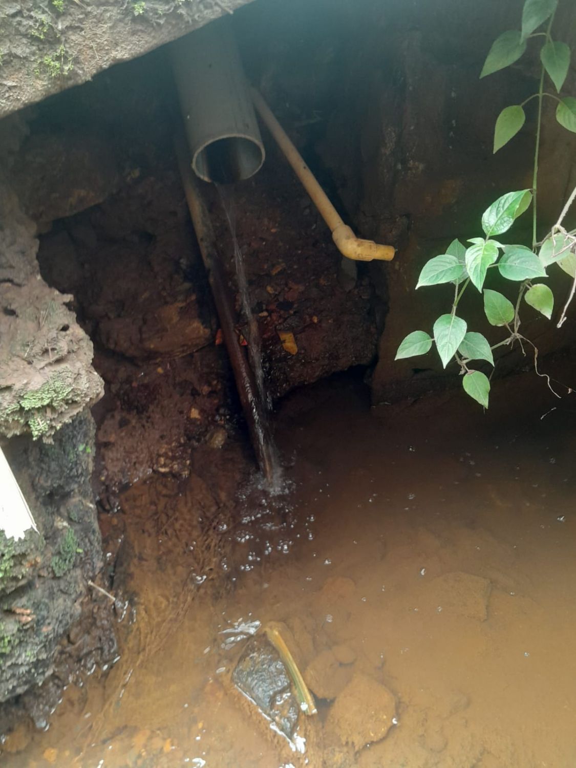 whatsapp-image-2026-04-26-at-9.39.58-pm