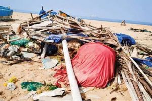 തീരദേശത്ത് ചുഴലിക്കാറ്റിൽ വ്യാപക നാശനഷ്ട‌ം; ഒരാൾക്ക് പരിക്ക്