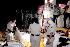 മുത്തങ്ങയിൽ വൻ പുകയില വേട്ട: ചകിരിക്കുള്ളിൽ ഒളിപ്പിച്ചു കടത്തിയ 195 ചാക്ക് ഉത്പന്നങ്ങൾ പിടികൂടി