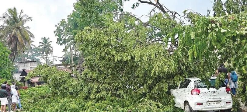 പേരാമ്പ്രയിൽ ശക്തമായ ചുഴലിക്കാറ്റും മഴയും; വ്യാപക നാശനഷ്ടം
