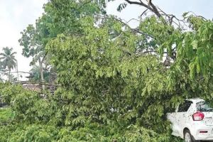 പേരാമ്പ്രയിൽ ശക്തമായ ചുഴലിക്കാറ്റും മഴയും; വ്യാപക നാശനഷ്ടം