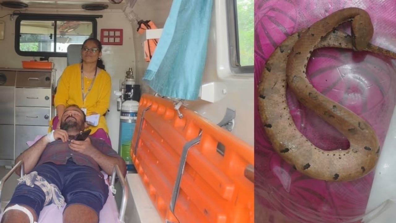 കൃഷിസ്ഥലത്ത് ജോലി ചെയ്യുന്നതിനിടെ തമിഴ്‌നാട് സ്വദേശിയായ യുവാവിനെ പാമ്പ് കടിച്ചു; പാമ്പിനെ കവറിലാക്കി ആശുപത്രിയിലെത്തി യുവാവ്