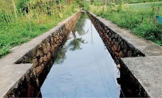 പന്തലായനി തോട്ടിൽ കറുത്ത നിറവും ദുർഗന്ധവും: ആശങ്കയോടെ തീരദേശവാസികൾ