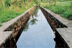 പന്തലായനി തോട്ടിൽ കറുത്ത നിറവും ദുർഗന്ധവും: ആശങ്കയോടെ തീരദേശവാസികൾ