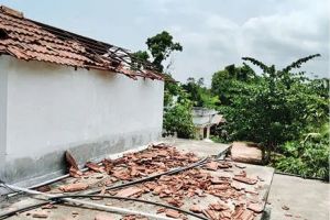 വടകര മേഖലയിൽ മിന്നൽച്ചുഴലി; മുപ്പതോളം വീടുകൾക്ക് കേടുപാട്, ലക്ഷങ്ങളുടെ കൃഷിനാശം