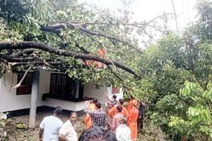 കക്കയത്ത് ശക്തമായ കാറ്റിൽ വൻ നാശനഷ്ടം; വീടുകൾ തകർന്നു, കൃഷി നശിച്ചു