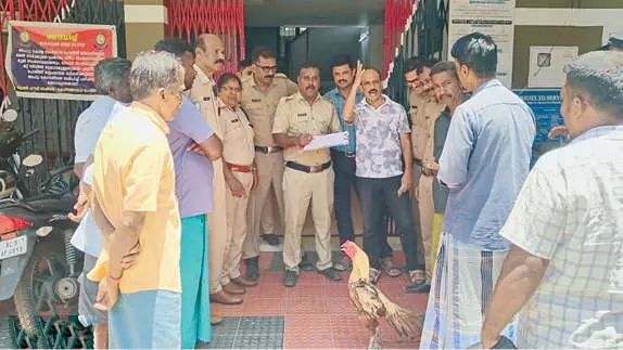 പണം വച്ച് കോഴിപ്പോര്; വടകരപ്പതിയിൽ എട്ടുപേർ പോലീസ് പിടിയിൽ
