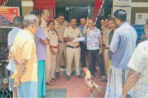 പണം വച്ച് കോഴിപ്പോര്; വടകരപ്പതിയിൽ എട്ടുപേർ പോലീസ് പിടിയിൽ