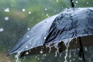 സംസ്ഥാനത്ത് ശക്തമായ മഴ തുടരും; ആറ് ജില്ലകളിൽ ഇന്ന് യെല്ലോ അലേർട്ട്, മത്സ്യത്തൊഴിലാളികൾക്ക് കർശന ജാഗ്രതാ നിർദ്ദേശം