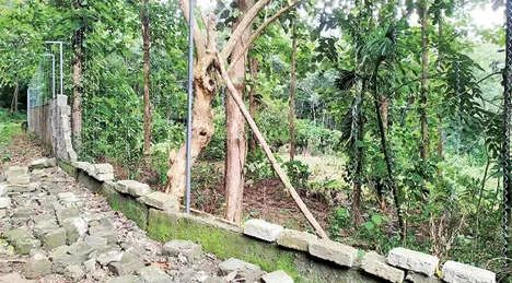 കാട്ടാന ശല്യത്തിന് പരിഹാരം: സ്വന്തം ചെലവിൽ തൂക്കുവൈദ്യുതിവേലി സ്ഥാപിച്ച് കർഷകൻ