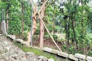 കാട്ടാന ശല്യത്തിന് പരിഹാരം: സ്വന്തം ചെലവിൽ തൂക്കുവൈദ്യുതിവേലി സ്ഥാപിച്ച് കർഷകൻ