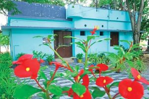 നഗരത്തിൽ 36 പൊതുശൗചാലയങ്ങൾ ഒരുക്കാൻ പാലക്കാട് നഗരസഭ