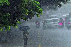 സംസ്ഥാനത്ത് ഞായറാഴ്ച വരെ മഴ തുടരും; ഏഴ് ജില്ലകളിൽ യെല്ലോ അലേർട്ട്