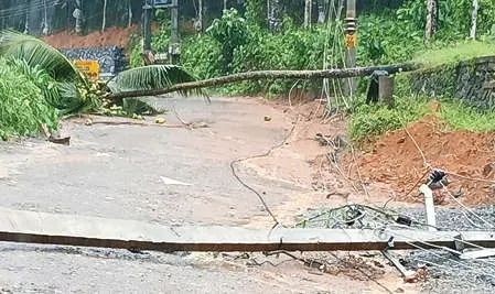 കനത്ത മഴയിലും കാറ്റിലും വ്യാപക നാശനഷ്ടം: മലയോര മേഖലയിൽ മരങ്ങൾ വീണ് ഗതാഗതവും വൈദ്യുതിയും തടസ്സപ്പെട്ടു