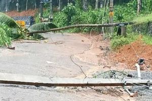 കനത്ത മഴയിലും കാറ്റിലും വ്യാപക നാശനഷ്ടം: മലയോര മേഖലയിൽ മരങ്ങൾ വീണ് ഗതാഗതവും വൈദ്യുതിയും തടസ്സപ്പെട്ടു