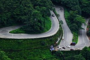 കാലവർഷം കനക്കുന്നു: താമരശ്ശേരി ചുരത്തിൽ മൾട്ടി ആക്സിൽ വാഹനങ്ങൾക്ക് പകൽസമയ നിയന്ത്രണം