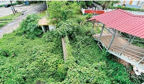 വെസ്റ്റ്ഹിൽ റെയിൽവേ സ്റ്റേഷൻ പരിസരം കാടുമൂടുന്നു: ജീവനക്കാരന്റെ സ്കൂട്ടറിൽ പാമ്പിനെ കണ്ടെത്തിയത് ആശങ്ക വർധിപ്പിക്കുന്നു