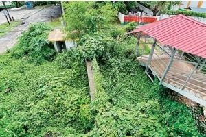 വെസ്റ്റ്ഹിൽ റെയിൽവേ സ്റ്റേഷൻ പരിസരം കാടുമൂടുന്നു: ജീവനക്കാരന്റെ സ്കൂട്ടറിൽ പാമ്പിനെ കണ്ടെത്തിയത് ആശങ്ക വർധിപ്പിക്കുന്നു