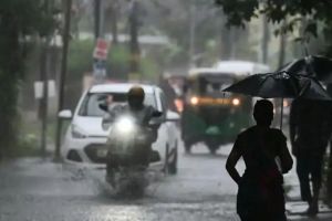 കനത്ത മഴ: കോഴിക്കോട്, വയനാട്, കാസർകോട് ജില്ലകളിലെ വിദ്യാഭ്യാസ സ്ഥാപനങ്ങൾക്ക് നാളെ അവധി; മേപ്പാടിയിൽ കർശന നിയന്ത്രണം