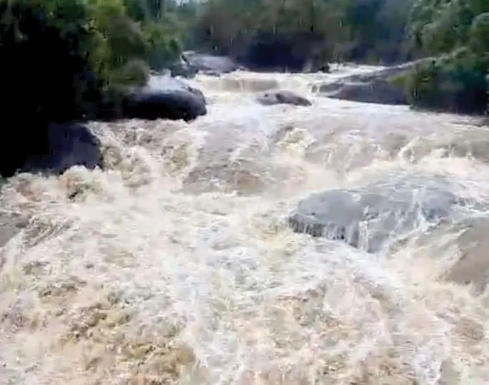 മലയോരത്ത് കനത്തമഴ: ഇരുവഴിഞ്ഞിപ്പുഴ കരകവിഞ്ഞു, താഴ്ന്ന പ്രദേശങ്ങൾ വെള്ളപ്പൊക്ക ഭീഷണിയിൽ