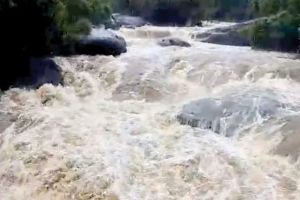 മലയോരത്ത് കനത്തമഴ: ഇരുവഴിഞ്ഞിപ്പുഴ കരകവിഞ്ഞു, താഴ്ന്ന പ്രദേശങ്ങൾ വെള്ളപ്പൊക്ക ഭീഷണിയിൽ